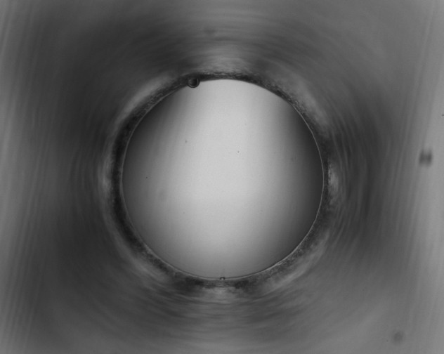 X0000103450396200809121433