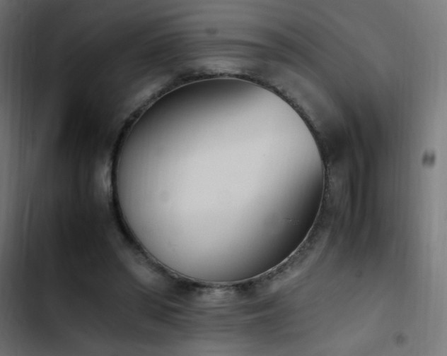 X0000103450398200809121433