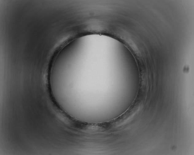 X0000103450399200809121433