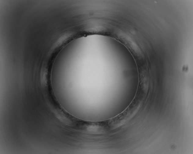 X0000103450400200809121433