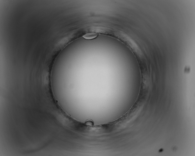 X0000103450401200809121432