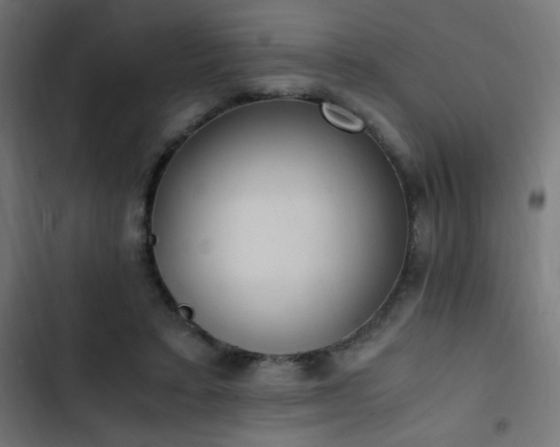 X0000103450403200809121432
