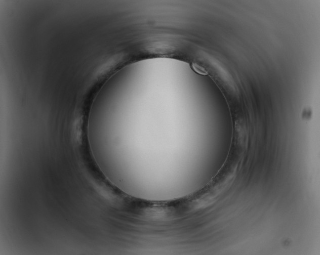 X0000103450404200809121432