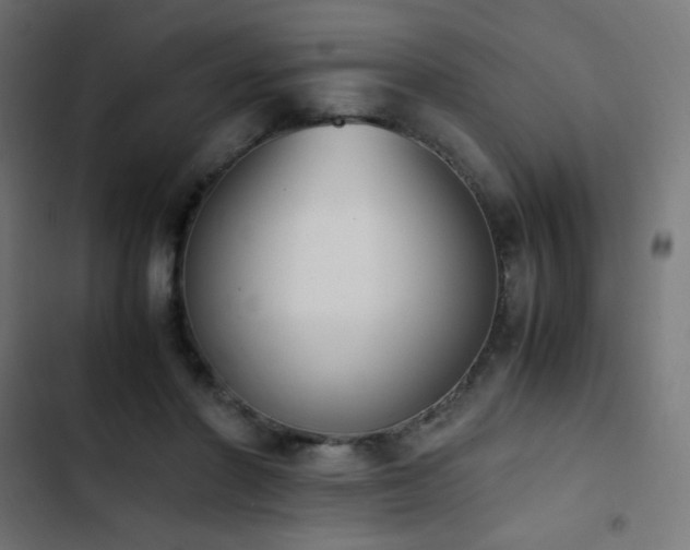 X0000103450406200809121432