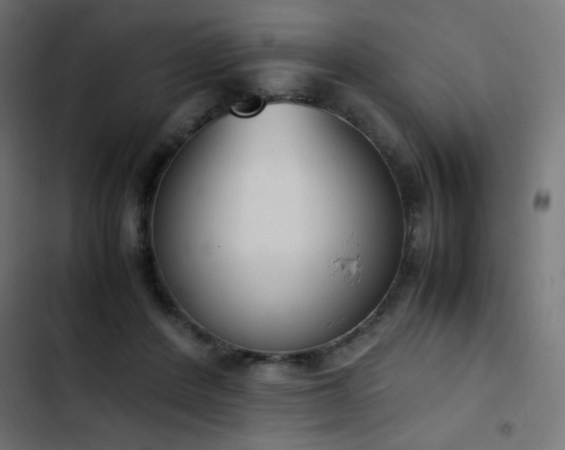 X0000103450408200809121432