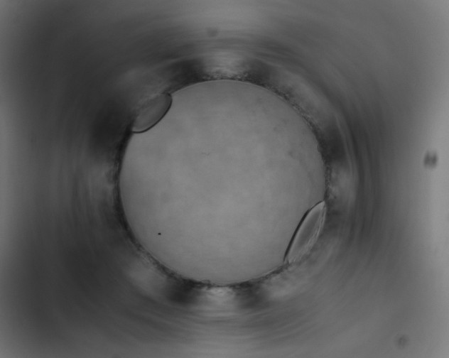 X0000103450409200809121432