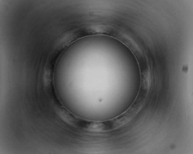 X0000103450410200809121432