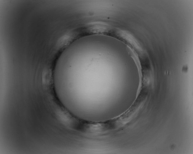 X0000103450411200809121432