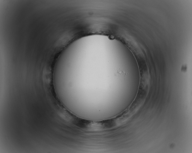 X0000103450413200809121432
