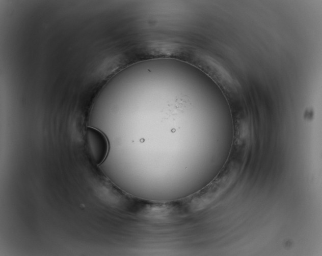 X0000103450414200809121432