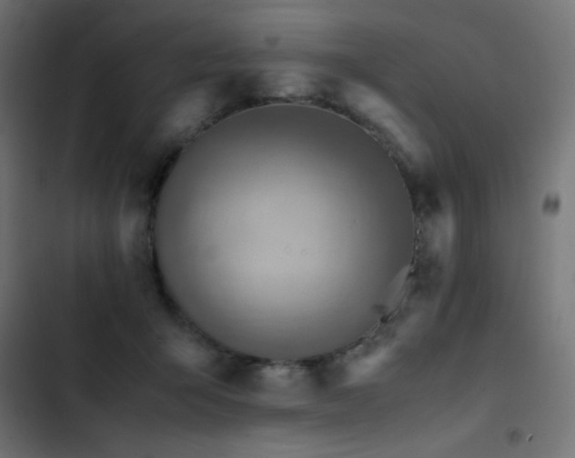 X0000103450415200809121432