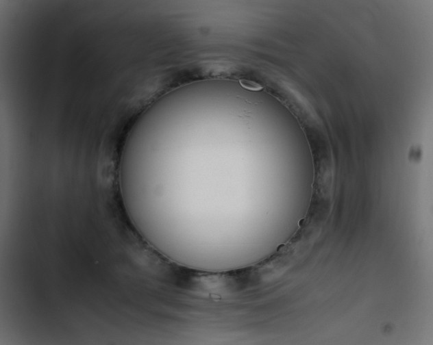 X0000103450417200809121432