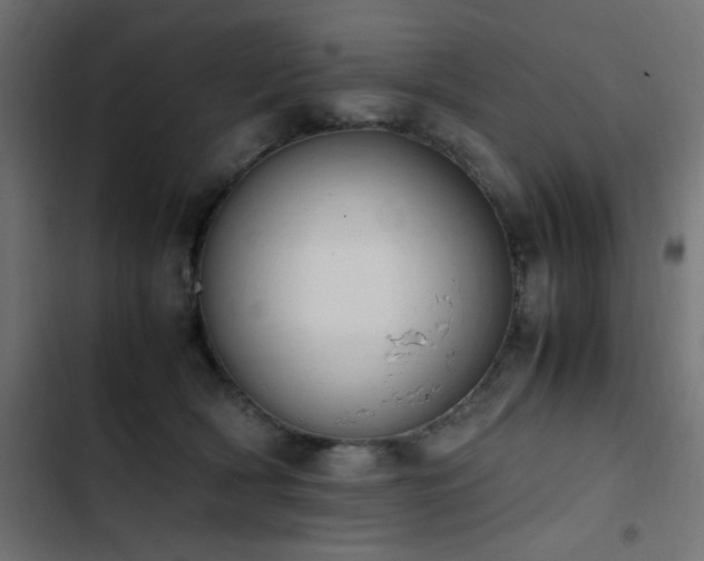X0000103450418200809121432
