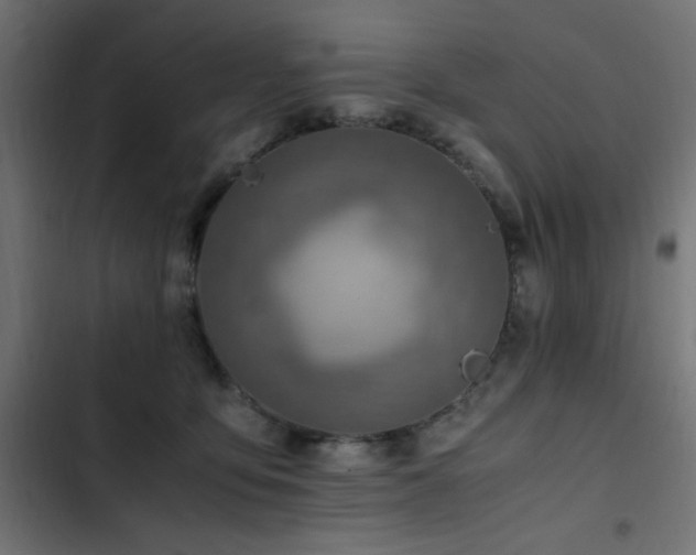 X0000103450419200809121432