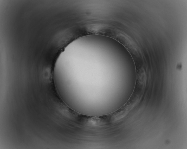 X0000103450420200809121432