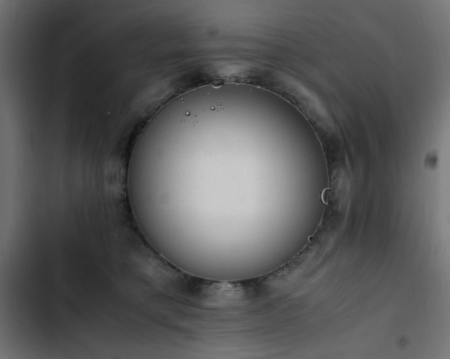 X0000103450421200809121432