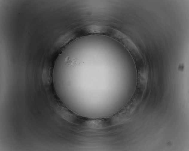 X0000103450422200809121432