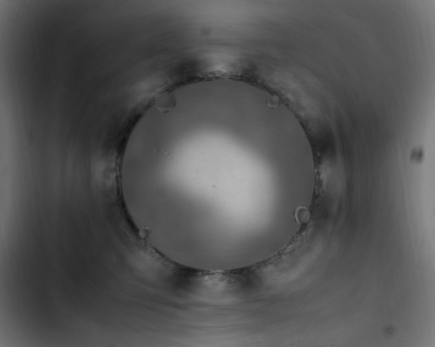 X0000103450423200809121432