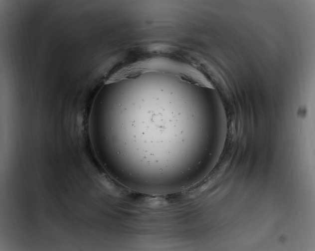X0000103450424200809121432