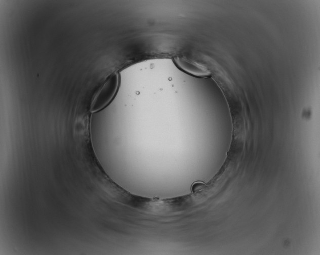 X0000103450425200809121432