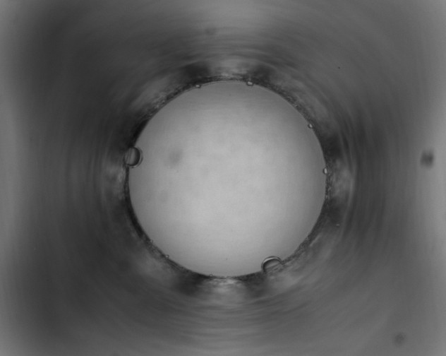 X0000103450427200809121432