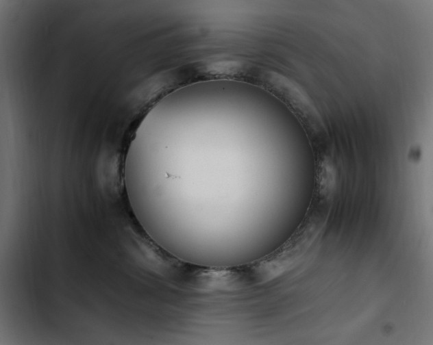 X0000103450428200809121432