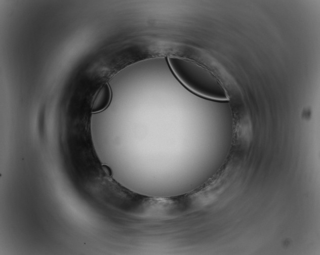 X0000103450429200809121432