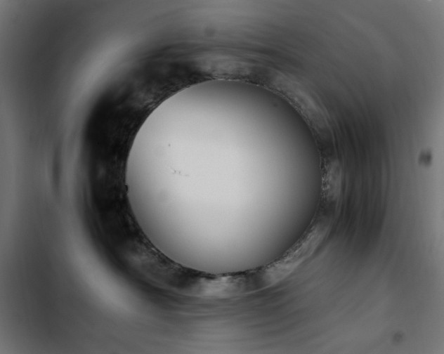 X0000103450430200809121432
