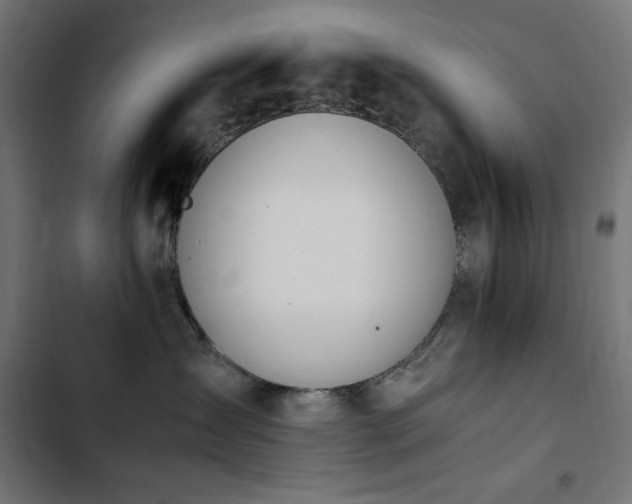 X0000103450431200809121432