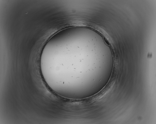 X0000103450433200809121431