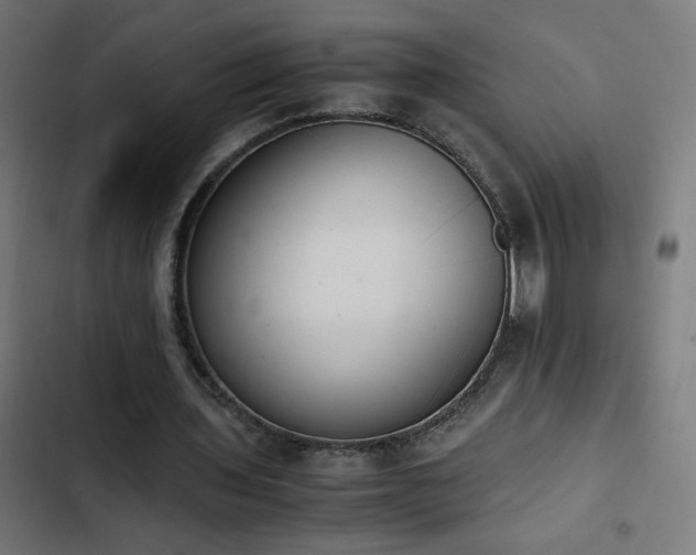 X0000103450435200809121431