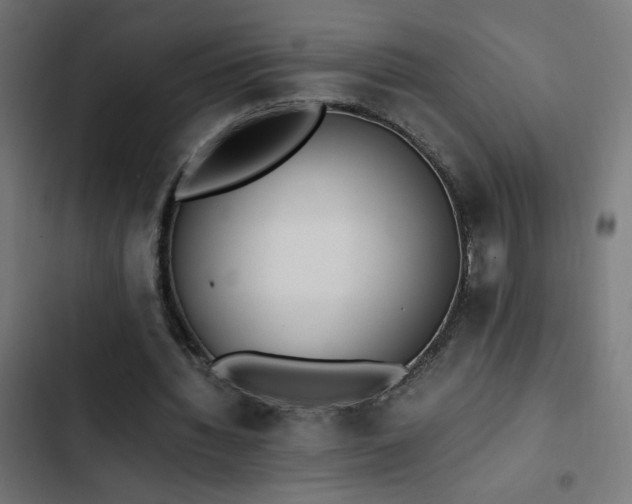 X0000103450436200809121431