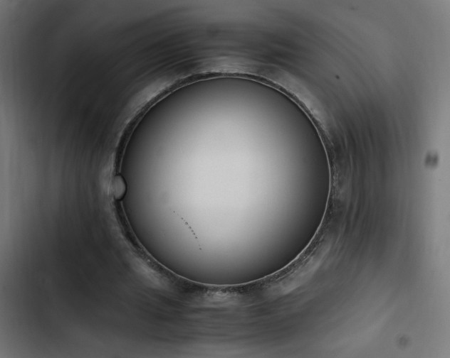 X0000103450437200809121431