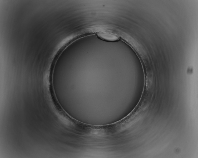 X0000103450438200809121431