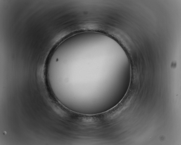 X0000103450439200809121431