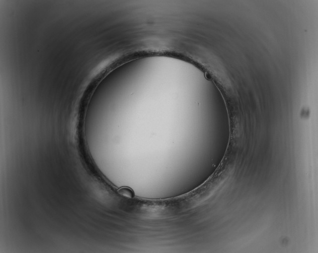 X0000103450440200809121431