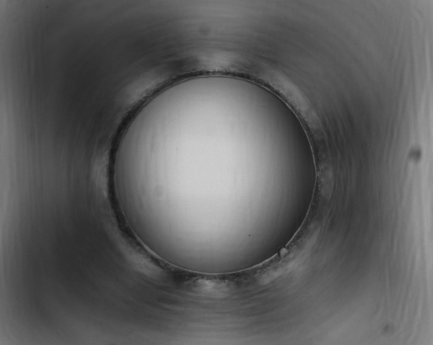 X0000103450442200809121431