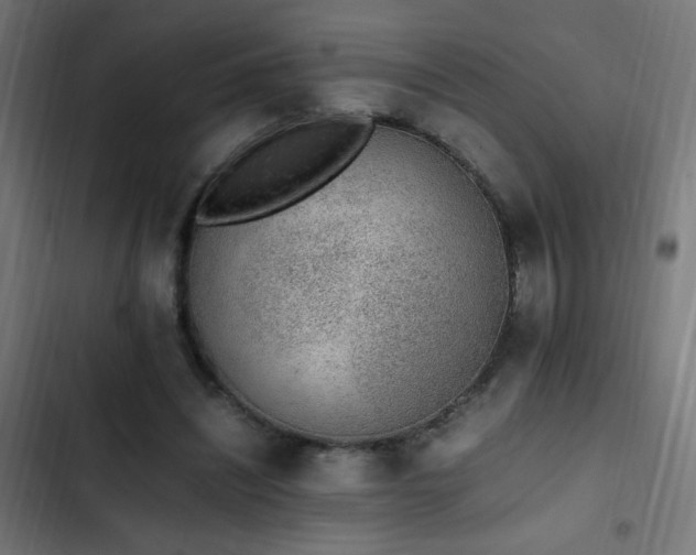 X0000103450444200809121431