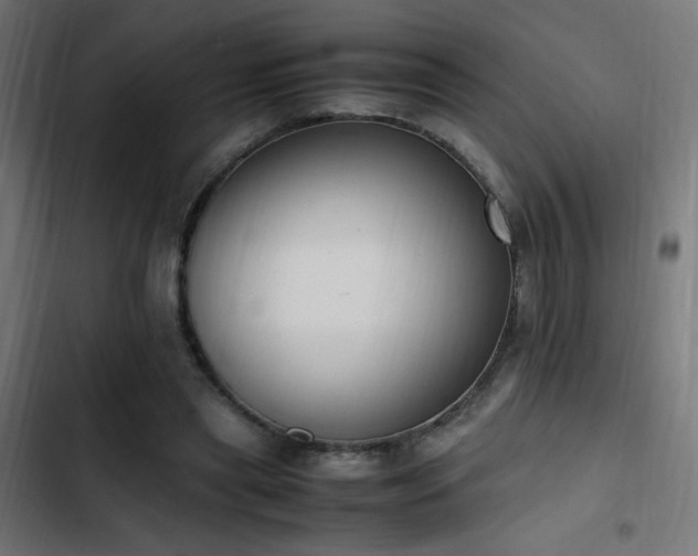 X0000103450445200809121431