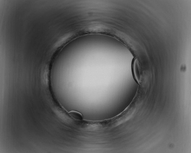 X0000103450446200809121431