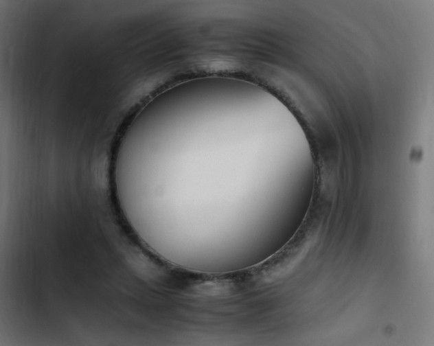 X0000103450447200809121431