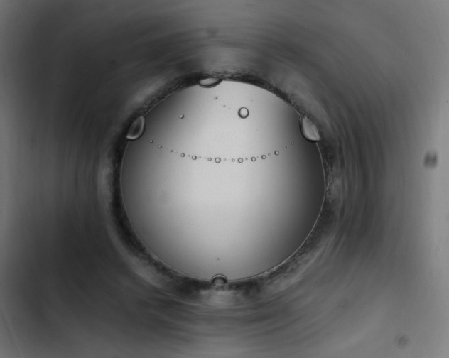 X0000103450448200809121431
