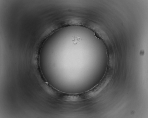 X0000103450449200809121431