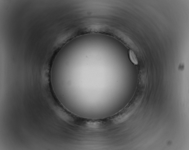 X0000103450450200809121431