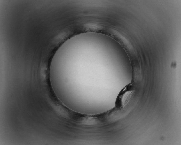 X0000103450451200809121431