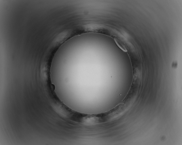 X0000103450452200809121431