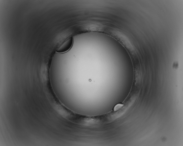 X0000103450453200809121432