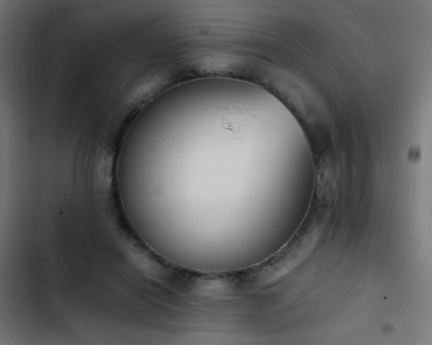 X0000103450454200809121432