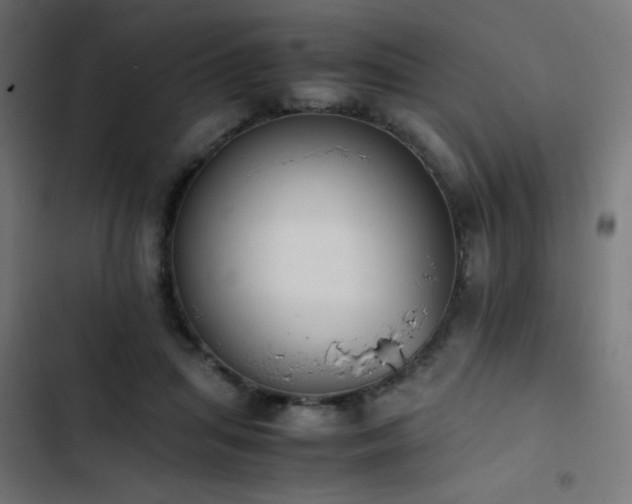 X0000103450455200809121432