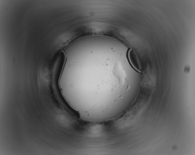 X0000103450456200809121432